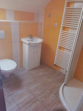 Penzion U Burešů Staré Sedlo - Housity