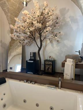 Olympus Luxury Suites - Housity