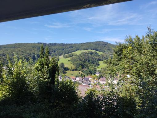 Das Tor zum Odenwald - Housity