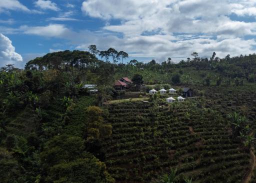 Alam Kita Glamping & Plantation - Housity