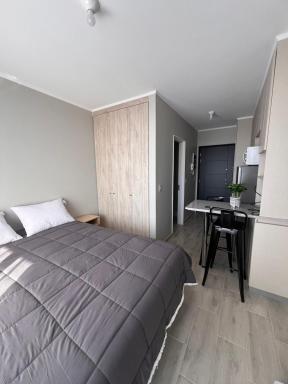 Departamento Estudio, Pitrufquén - Housity