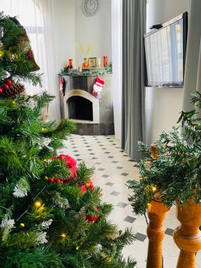 Bolnisi Elia - Housity