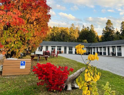 Motel de L'Anse et Camping Rimouski - Housity