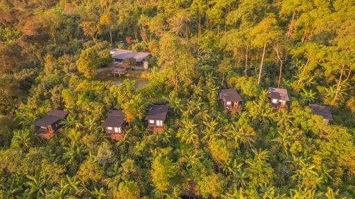Hotel La Palma y El Tucán - Café y Naturaleza - Housity