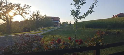 Stari Tršić - Housity
