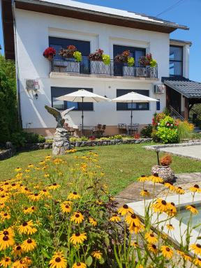 Guesthouse Vila - Housity