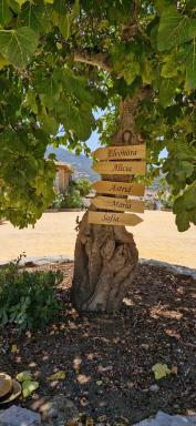 Casas Rurales- 