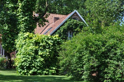 Alte Schule Bollersen - Housity