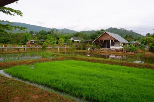 Nok Chan Mee Na - Housity