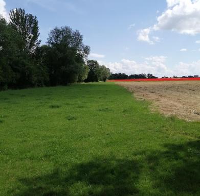 Ferienwohnung Moni - Housity