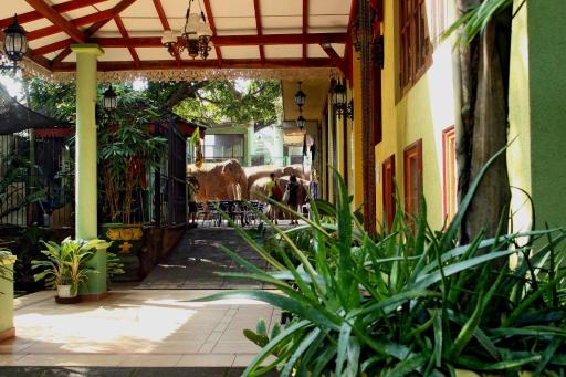 Green Land Guest House - Housity