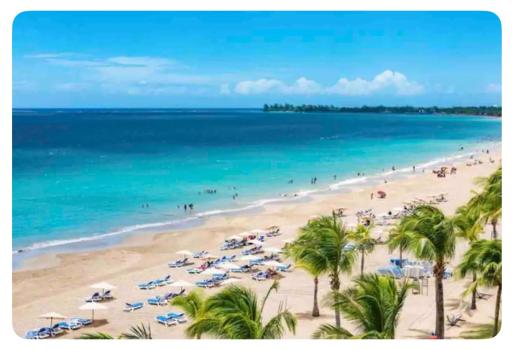 Cozy Beachfront Studio - Housity