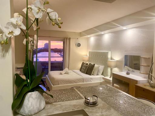 Modern waterfront apartment with Miami Skyline view, free parking 5 mins drive to Miami Beach - Housity