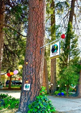The Pines Inn and Cottages - Housity