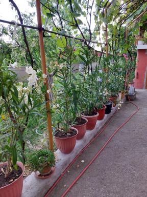 Casuta dintre dealuri - Housity