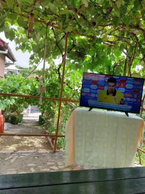 Casuta dintre dealuri - Housity
