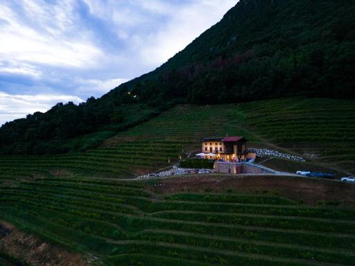Dario Coos srl - Azienda vinicola - Housity