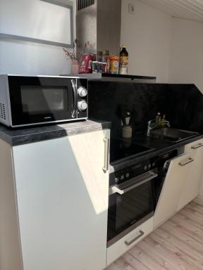 Schöne, große Ferienwohnung direkt am Donauradweg & Keltenstadt Heuneburg - Housity