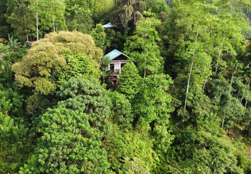 Sinharaja Rest - Housity