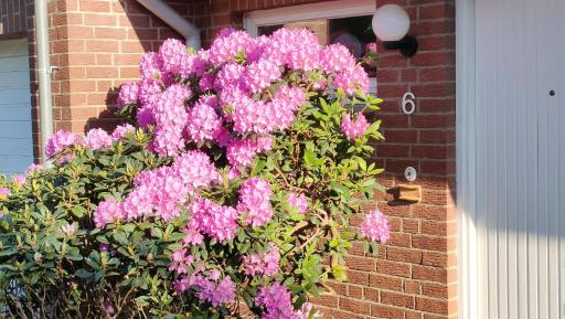 Sterne Luxus Heidesonne - Housity