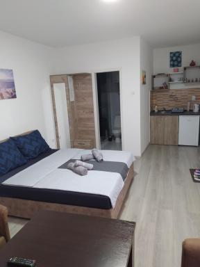 Lotus house - Housity