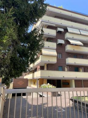Mille4 - Hizvo