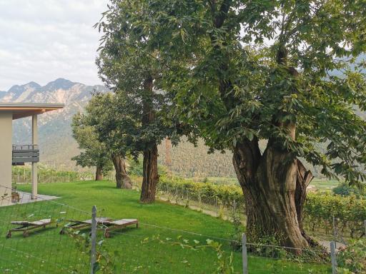 Villa 4 Musketiere - Housity