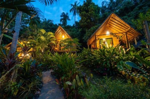Bamboo Bay Eco Resort - Housity