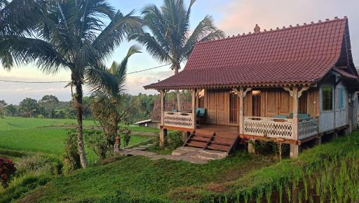 D'Ume Bendoel Homestay - Housity