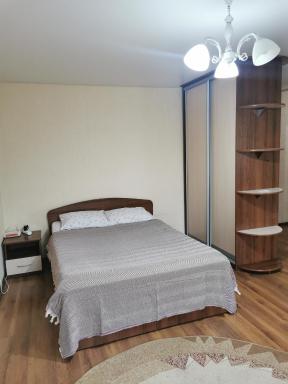 1 комн апартаменты в центре рядом с парком - Housity
