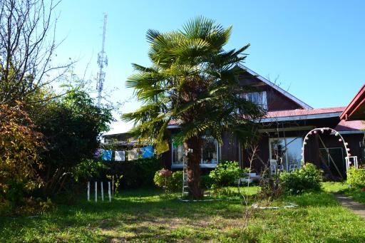 Cygnus Hostel - Housity