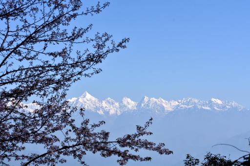 The Misty Mountains - Housity