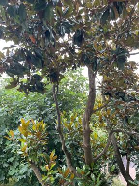 Appartement de deux chambres au calme - Housity