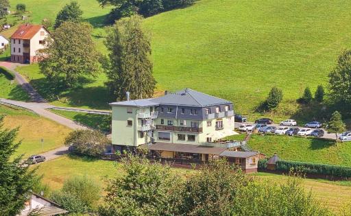 Hotel Grüner Baum mit Restaurant & Wellness - Housity