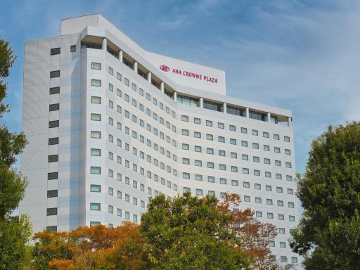 ANA Crowne Plaza Narita by IHG - Housity