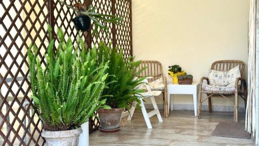 RM03 - Senigallia, trilocale fronte mare - Housity