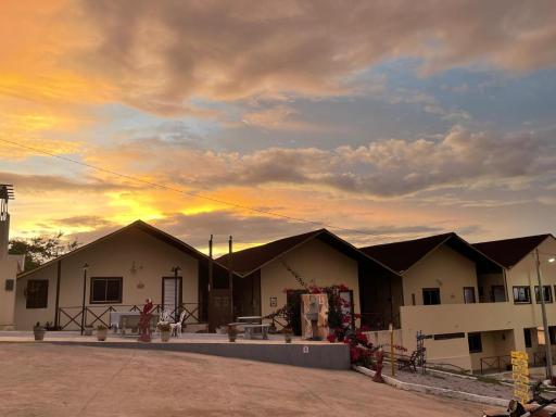 Encanto dos Pássaros - Housity