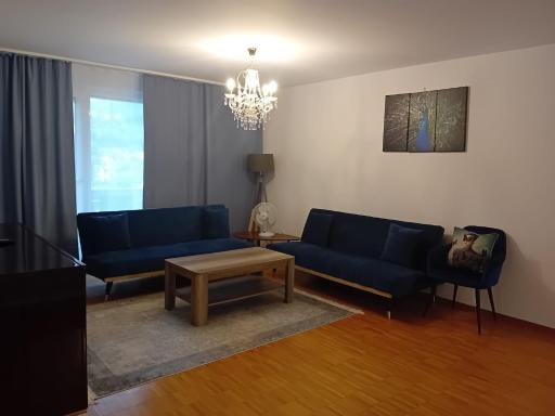 3 Room Premium Apartment Buchs SG - Housity