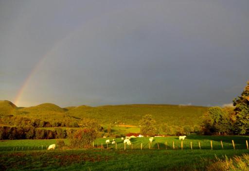 Terres de la Grange - Housity