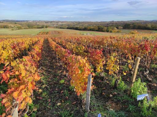 Les Meublés des Pierres Dorées - Gite de charme pour groupe avec sauna - Housity