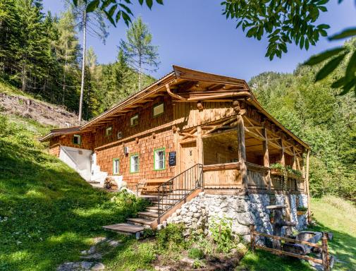 Talsenalm Wald Habitat - Housity