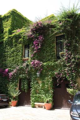 Palazzo Rollo - Housity