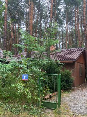 Przytulny domek w lesie blisko rzeki - Housity