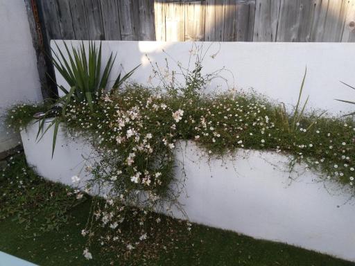 Gabrielle 40m2, Netflix - Housity