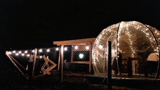 Tiny House Colibita - Housity