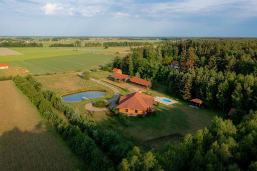 Dworek Ogrodniki, całoroczny dom na wyłączność, basen, sauna, las, staw rybny, altana grillowa, ognisko, pianino, kominek, piec chlebowy, duża ogrodzona posesja - Housity