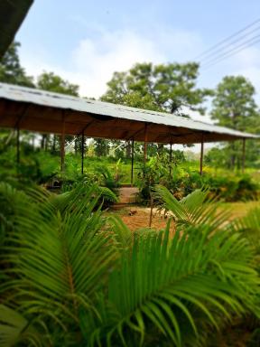 Dandeli Aura - Housity