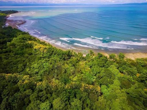 Four Monkeys Eco Lodge Jungle & Beach - The House - Housity