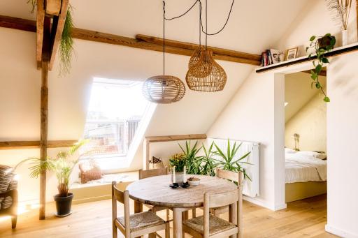 RUIMTEZICHT cosy appartement with sauna - Housity