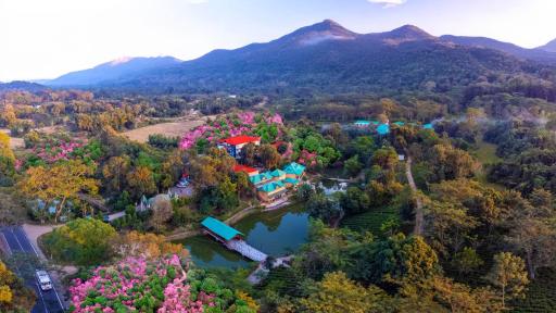 Summit Green Lake Tea Resort & Spa - Housity